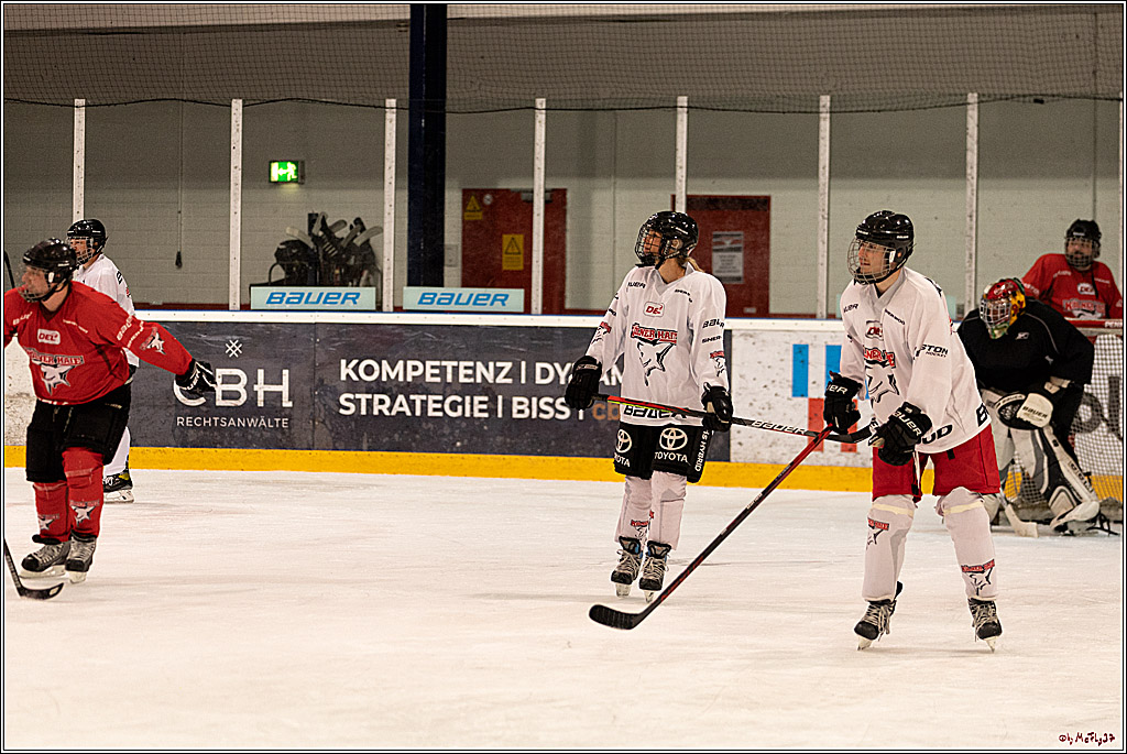 Sponsorentraining Kölner Haie 8.6.2022, 08.06.2022